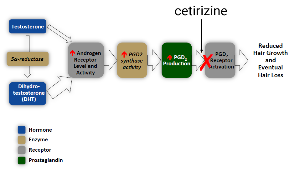 Avodart ve Zytrec pgd2 inhibitörü kullanımı